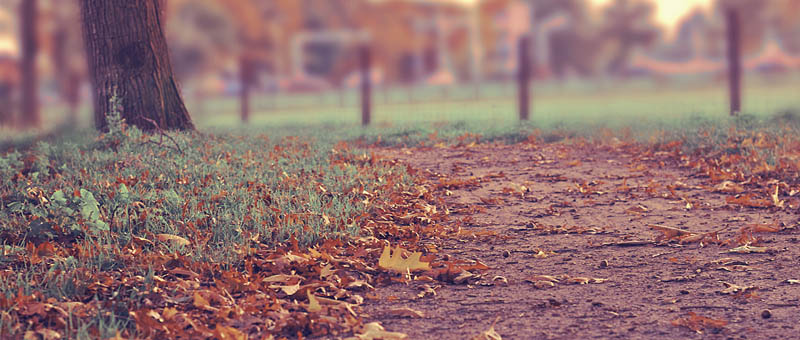 免费电话短信轰炸机